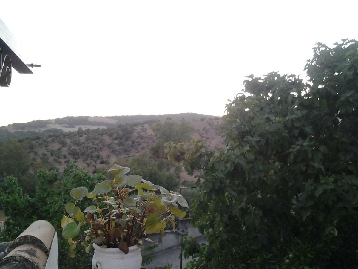 Casa Maria Luisa Villa เอลบอสเก ภายนอก รูปภาพ